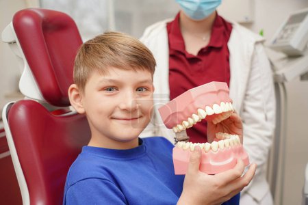 Téléchargez les photos : Un garçon dans le cabinet d'un dentiste tient une grande mâchoire en plastique dans ses mains. - en image libre de droit
