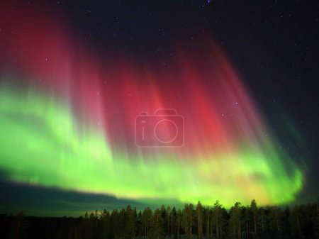 Rote und grüne Polarlichter über Wäldern in Nordschweden.