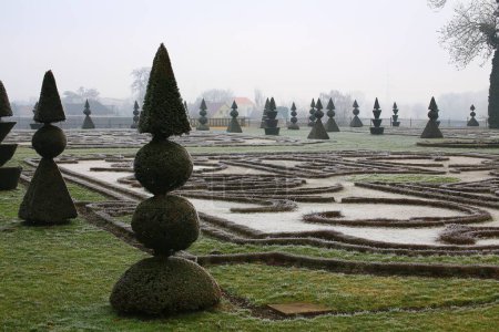 Photo for Topiary yews with pyramid and ball shapes in winterly palace garden. - Royalty Free Image