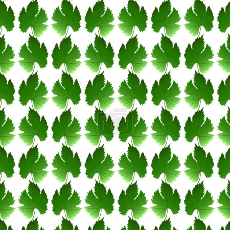 Illustration for Seamless pattern grape leaves. Green leaf. Vector illustration. - Royalty Free Image