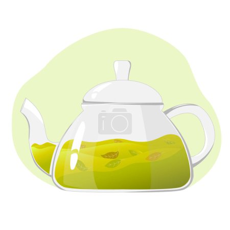 Illustration for Glass teapot with green tea.Transparent glass teapot with green tea leaves. Healthy drinks concept.Vector illustration for cafes, advertisements, banners. - Royalty Free Image