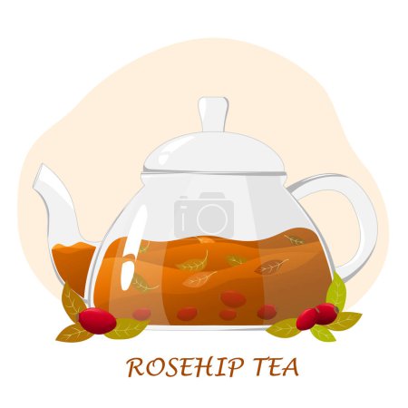 Illustration for Glass teapot with  rosehip tea.Transparent glass teapot with tea leaves and brier. Healthy drinks concept.Vector illustration for cafes, advertisements, banners. - Royalty Free Image