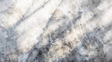 This image captures the ethereal interplay of shadows and light across a weathered marble surface. The varying shades of gray tell a story of age and resilience, while sporadic dark speckles hint at a narrative of past centuries.