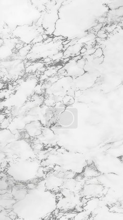 Ce portrait de marbre blanc pur est fileté avec des veines sombres complexes, créant une merveille monochromatique frappante.