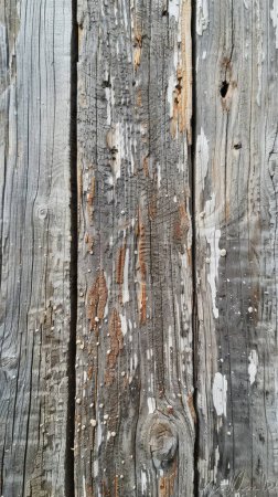 Ce portrait capture la texture complexe et l'apparence altérée des planches de bois gris, accentuées de taches de rouille et de taches aléatoires de peinture blanche..