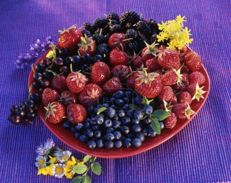 Foto de Frambuesas frescas maduras, fresas, moras, grosellas negras y moras en el plato rojo - Imagen libre de derechos