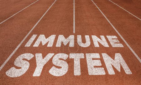 Foto de Sistema inmune escrito en pista de atletismo, Nuevo concepto en pista de atletismo texto en color blanco - Imagen libre de derechos