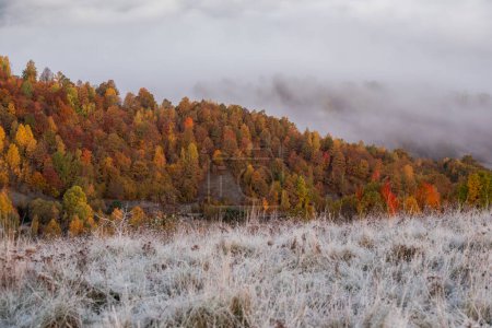 Wonderful autumn scenery with first frosts in the mountains  