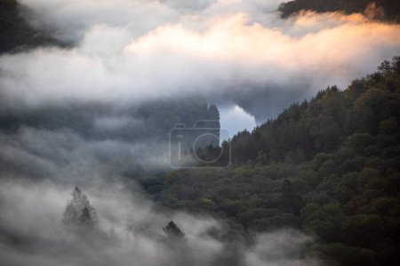 Brume matinale brumeuse sur la rivière de montagne en Allemagne 