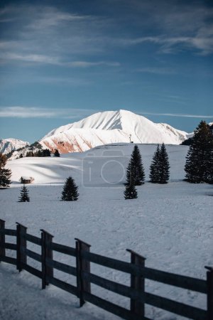 Foto de Paisaje invernal con árboles cubiertos de nieve en las montañas - Imagen libre de derechos