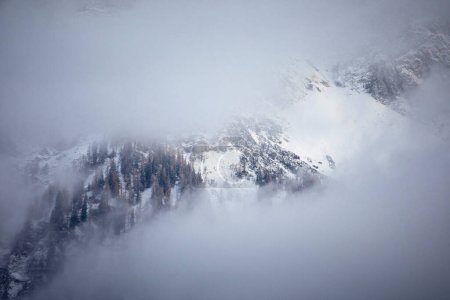 Foto de Hermosa vista de las montañas nevadas brumosas, niebla en primer plano - Imagen libre de derechos