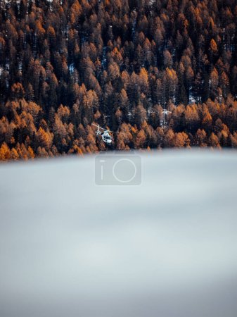 Photo for Helicopter flying over snowy forest in mountains - Royalty Free Image