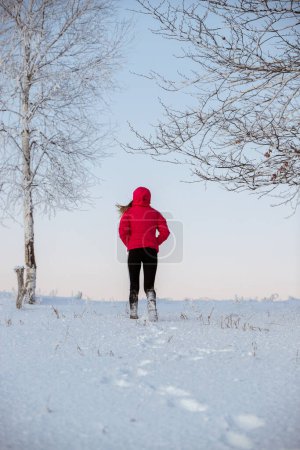 Téléchargez les photos : Young girl in warm clothes walking in the winter forest alone in the snow. Outdoor, lifestyle concept. - en image libre de droit