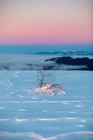 Foto de Hermoso amanecer rosa en las montañas cubiertas de nieve y nubes - Imagen libre de derechos
