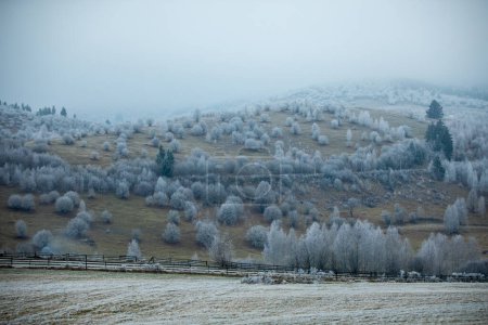 Téléchargez les photos : Montagnes couvertes de neige et de brouillard - en image libre de droit