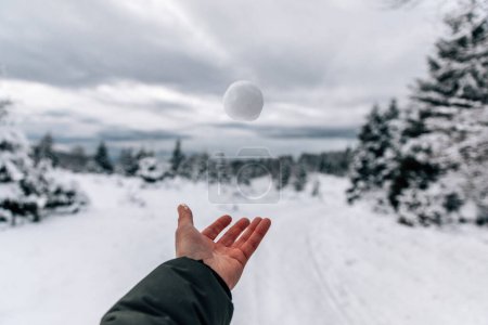Foto de Mano de hombre soltando una bola de nieve - Imagen libre de derechos