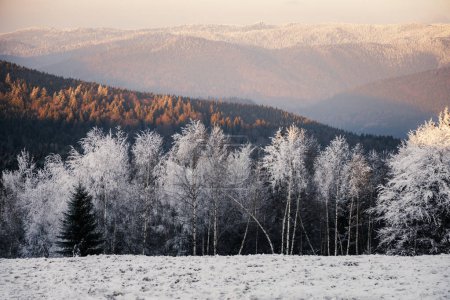 Foto de Increíble vista panorámica de la naturaleza de las montañas en invierno - Imagen libre de derechos
