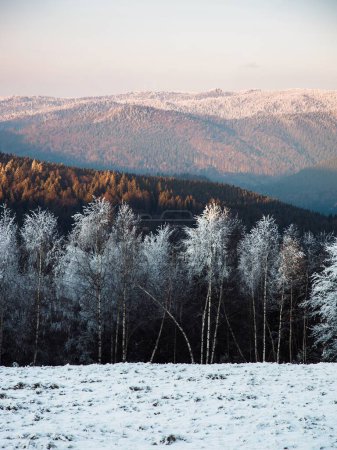 Foto de Increíble vista panorámica de la naturaleza de las montañas en invierno - Imagen libre de derechos