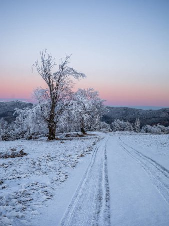 Téléchargez les photos : Étonnante vue panoramique sur la nature des montagnes en hiver - en image libre de droit