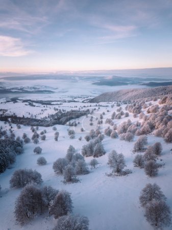 Foto de Beautiful winter panorama with fresh powder snow. Landscape with frozen trees, blue sky with sun light and high Alpine mountains on background. Transylvania, Romania. - Imagen libre de derechos