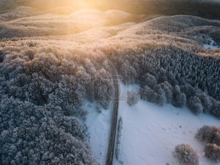 Téléchargez les photos : Aerial view of winding road from high mountain pass with snow-covered trees in Transylvania, Romania. Nature travel concept. - en image libre de droit