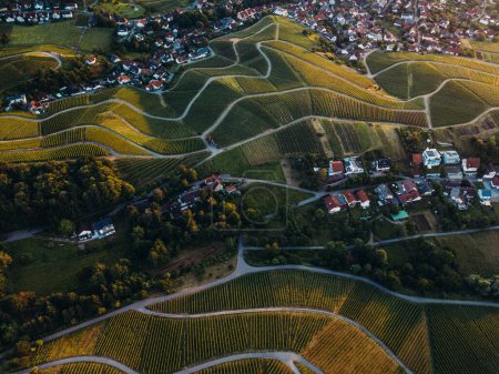 Téléchargez les photos : Aerial view of the terraced vineyards in Baden-Wurttemberg, Germany. Agricultural sunset background. - en image libre de droit