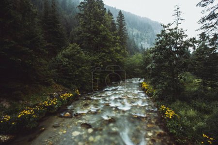 Moody landscape with mountains. River flowing in the wilderness forest at Austrian Alps