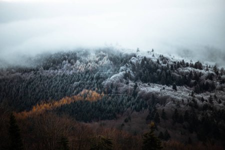 Foto de Beautiful winter landscape of mountains with snow covered trees - Imagen libre de derechos