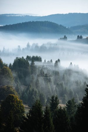 Téléchargez les photos : Foggy morning over forest landscape in mist and mountains - en image libre de droit