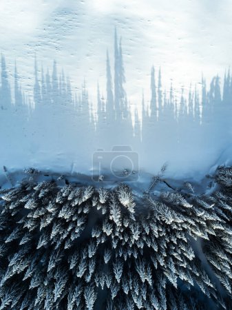 Foto de Impressive aerial view of snow covered forest trees and long shadows. Winter landscape - Imagen libre de derechos