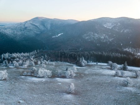 Foto de Hermoso paisaje con árboles cubiertos de nieve - Imagen libre de derechos
