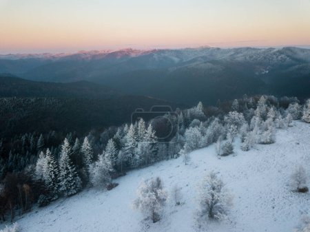 Foto de Beautiful view of nature at sunrise in winter - Imagen libre de derechos
