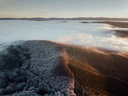 Téléchargez les photos : Aerial view of foggy forest at sunrise. Changing the seasons from autumn to winter. Frosty trees from above. Nature background. - en image libre de droit
