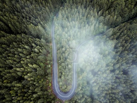 Schöne Luftaufnahme aus der Luft über dem immergrünen Wald, Nebel und kurvenreicher Straße