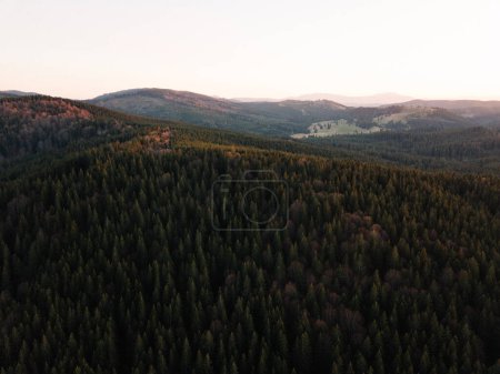 Photo for Beautiful landscape with green forest in the mountains - Royalty Free Image