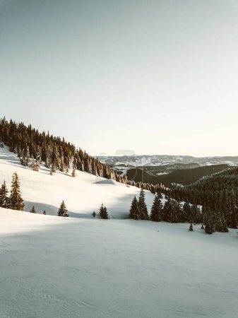 Téléchargez les photos : Paysage hivernal panoramique au coucher du soleil dans les montagnes. - en image libre de droit