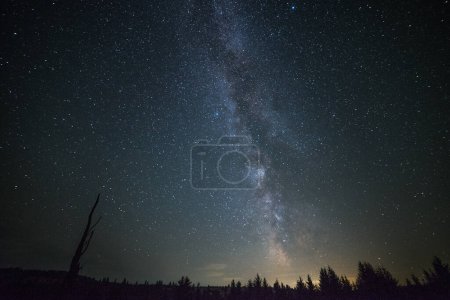 Silhouette of trees and beautiful milky way on a night sky. Long exposure photograph