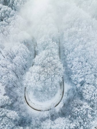 Aerial view of the road through the snow covered forest in the foggy mountains. Travel and transportation concept. 