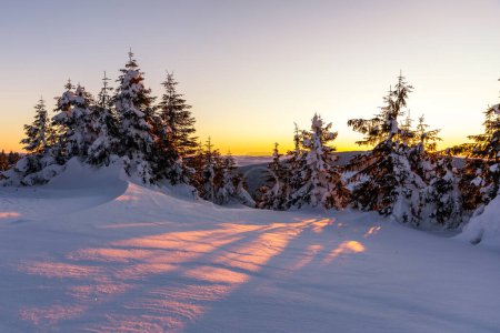 Foto de Hermoso atardecer de invierno en las montañas, bosque de pinos - Imagen libre de derechos