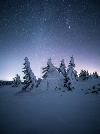 Foto de Vista nocturna de árboles cubiertos de nieve en las montañas - Imagen libre de derechos