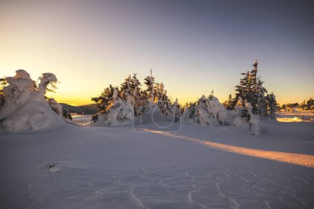 Téléchargez les photos : Beau paysage hivernal en montagne - en image libre de droit