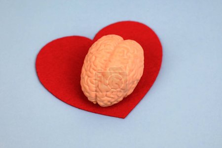 Téléchargez les photos : Brain on heart symbolise as conscious mind and subconscious mind, HOW OUR SUBCONSCIOUS MIND INFLUENCES OUR CONSCIOUS MIND. Correlation between heart and brain. hypnosis, NLP - en image libre de droit