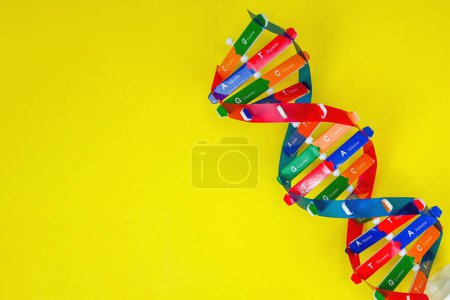 Photo for DNA helix structure, code made up of four chemical bases: adenine, guanine, cytosine, and thymine. Human DNA spiral molecule structure, Science icon. Hereditary material in organisms.DNA say about You - Royalty Free Image