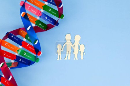 Téléchargez les photos : DNA helix structure and family paper model. Parents and children. DNA carrier status. Healthcare, science and medical concept. - en image libre de droit