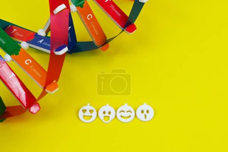 Photo for DNA helix structure emotional expression, emoji. Temperament traits determined by genetics. Physical and Personality Traits from DNA. Health and medical educational concept - Royalty Free Image