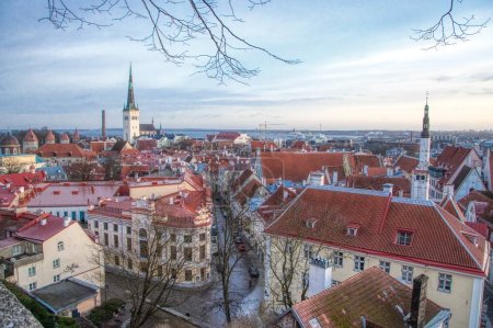 Téléchargez les photos : Vue de la vieille ville de Tallinn depuis la plate-forme d'observation Kohtuotsa - en image libre de droit
