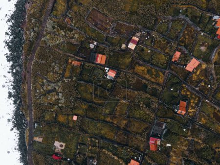 Téléchargez les photos : Vue par drone sur Achadas da Cruz à Madère, Portugal - en image libre de droit