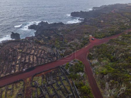 Foto de Drone vista de viñedo Paisaje de Pico, las Azores - Imagen libre de derechos