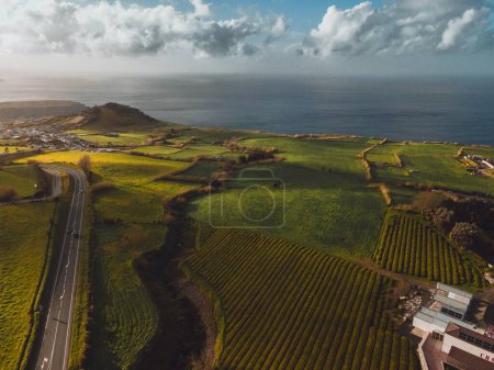 Foto de Drone vista de la plantación de té Gorreana en Sao Miguel, las Azores - Imagen libre de derechos