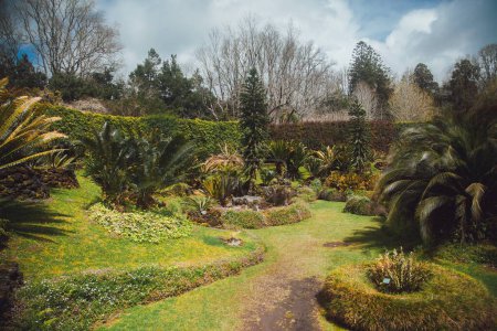 Foto de Parque Terra Nostra en Sao Miguel, las Azores - Imagen libre de derechos